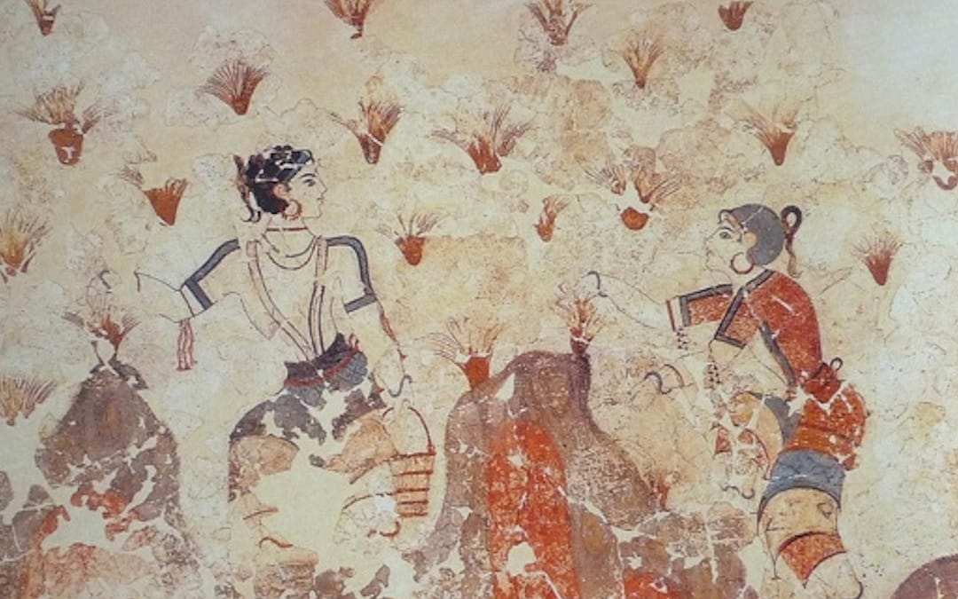 Von griechischen Sagen bis in die Neuzeit: die Historie des Safrans