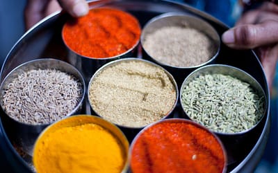 Der Geschmack der Mogulzeit – Safran in der indischen Küche